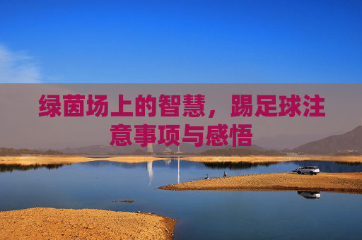 绿茵场上的智慧,踢足球注意事项与感悟