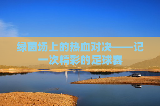 绿茵场上的热血对决——记一次精彩的足球赛