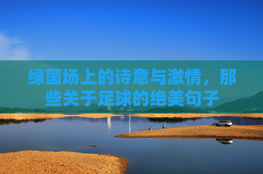 绿茵场上的诗意与激情，那些关于足球的绝美句子