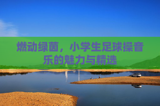燃动绿茵,小学生足球操音乐的魅力与精选