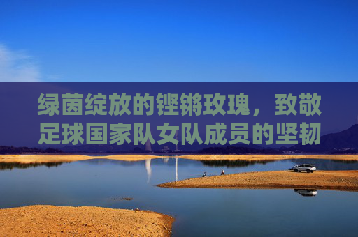 绿茵绽放的铿锵玫瑰，致敬足球国家队女队成员的坚韧与荣耀