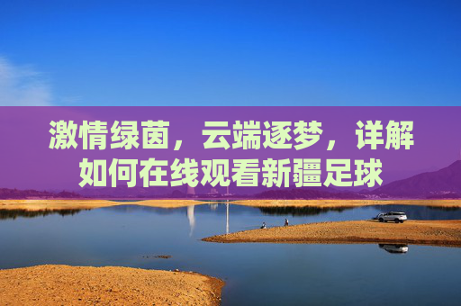 激情绿茵,云端逐梦,详解如何在线观看新疆足球