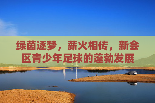 绿茵逐梦,薪火相传,新会区青少年足球的蓬勃发展
