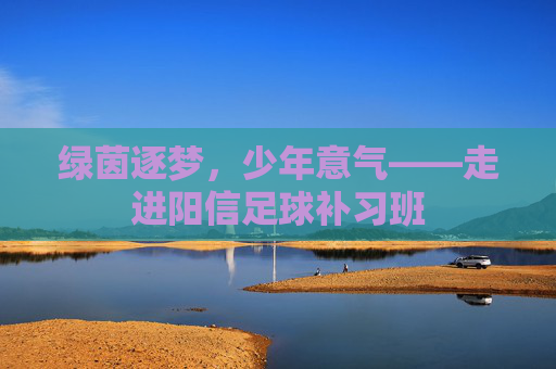 绿茵逐梦,少年意气——走进阳信足球补习班