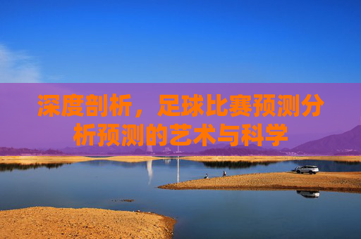 深度剖析，足球比赛预测分析预测的艺术与科学