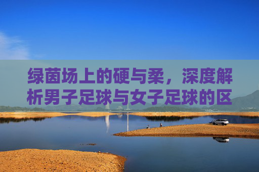 绿茵场上的硬与柔,深度解析男子足球与女子足球的区别