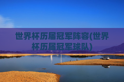 世界杯历届冠军阵容(世界杯历届冠军球队)