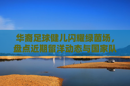 华裔足球健儿闪耀绿茵场,盘点近期留洋动态与国家队未来展望