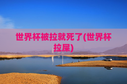 世界杯被拉就死了(世界杯拉屎)