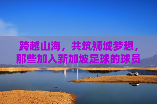 跨越山海,共筑狮城梦想,那些加入新加坡足球的球员们