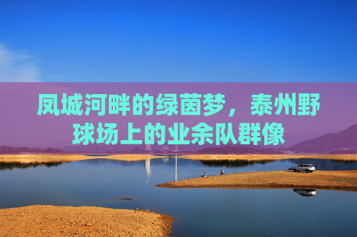凤城河畔的绿茵梦，泰州野球场上的业余队群像