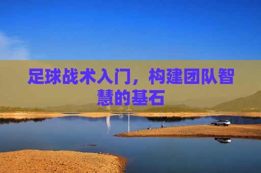 足球战术入门，构建团队智慧的基石