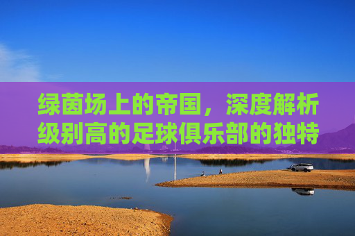 绿茵场上的帝国,深度解析级别高的足球俱乐部的独特魅力与责任
