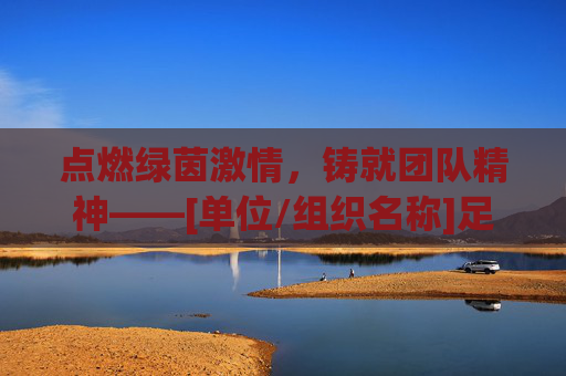点燃绿茵激情，铸就团队精神——[单位/组织名称]足球项目启动方案