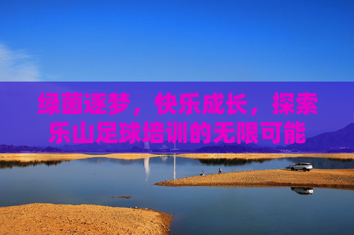 绿茵逐梦，快乐成长，探索乐山足球培训的无限可能
