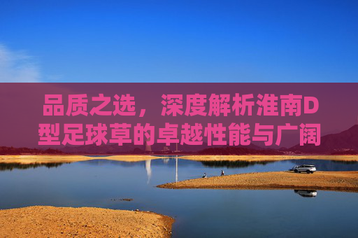 品质之选,深度解析淮南D型足球草的卓越性能与广阔前景