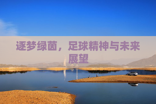 逐梦绿茵,足球精神与未来展望