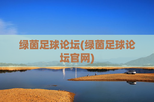 绿茵足球论坛(绿茵足球论坛官网)
