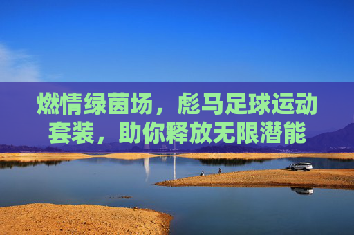 燃情绿茵场，彪马足球运动套装，助你释放无限潜能