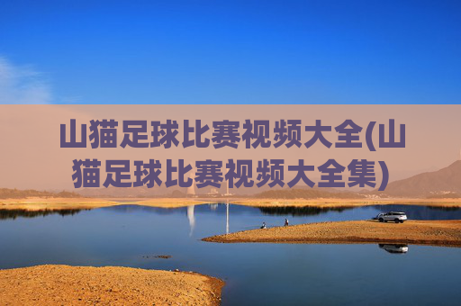 山猫足球比赛视频大全(山猫足球比赛视频大全集)