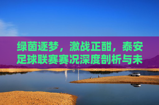 绿茵逐梦,激战正酣,泰安足球联赛赛况深度剖析与未来展望
