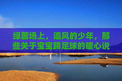 绿茵场上,追风的少年,那些关于宝宝踢足球的暖心说说