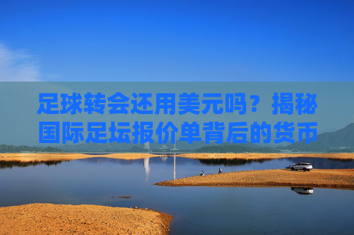 足球转会还用美元吗?揭秘国际足坛报价单背后的货币玄机