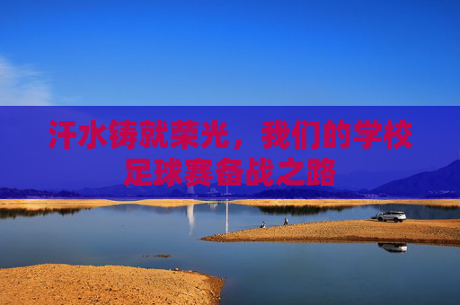 汗水铸就荣光，我们的学校足球赛备战之路