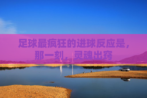 足球最疯狂的进球反应是，那一刻，灵魂出窍