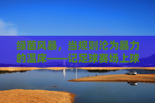 绿茵风暴,当规则沦为暴力的温床——记足球赛场上球员追打裁判的悲剧时刻
