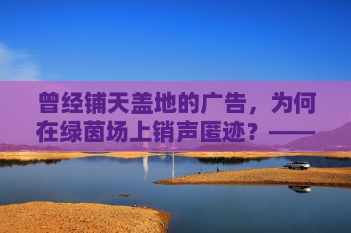 曾经铺天盖地的广告,为何在绿茵场上销声匿迹?——探寻足球广告的隐身真相