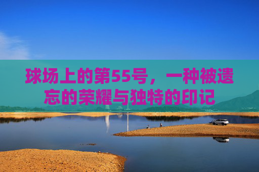 球场上的第55号,一种被遗忘的荣耀与独特的印记