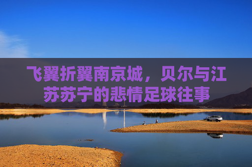 飞翼折翼南京城,贝尔与江苏苏宁的悲情足球往事