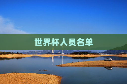 世界杯人员名单
