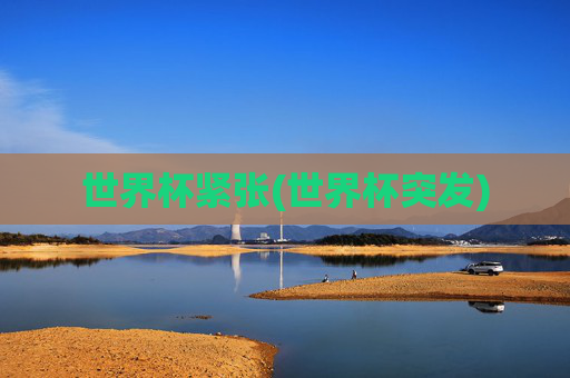 世界杯紧张(世界杯突发)