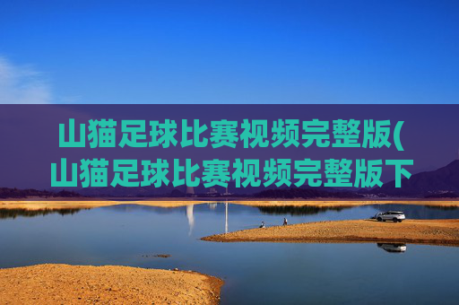 山猫足球比赛视频完整版(山猫足球比赛视频完整版下载)