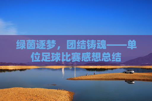 绿茵逐梦，团结铸魂——单位足球比赛感想总结
