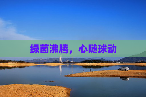 绿茵沸腾，心随球动