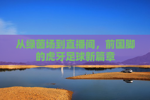 从绿茵场到直播间，前国脚的虎牙足球新篇章