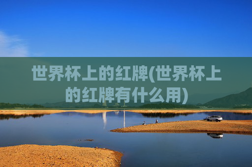 世界杯上的红牌(世界杯上的红牌有什么用)