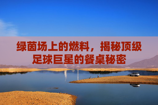 绿茵场上的燃料,揭秘顶级足球巨星的餐桌秘密