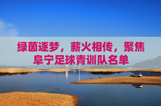 绿茵逐梦,薪火相传,聚焦阜宁足球青训队名单