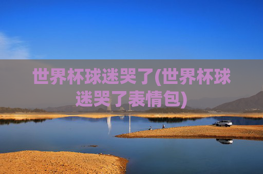世界杯球迷哭了(世界杯球迷哭了表情包)