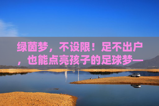 绿茵梦,不设限!足不出户,也能点亮孩子的足球梦——XX足球线上特训营火热招募中