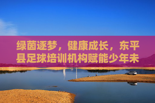 绿茵逐梦,健康成长,东平县足球培训机构赋能少年未来