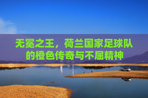 无冕之王,荷兰国家足球队的橙色传奇与不屈精神