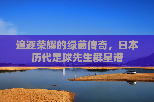 追逐荣耀的绿茵传奇,日本历代足球先生群星谱