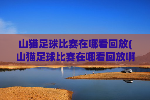 山猫足球比赛在哪看回放(山猫足球比赛在哪看回放啊)