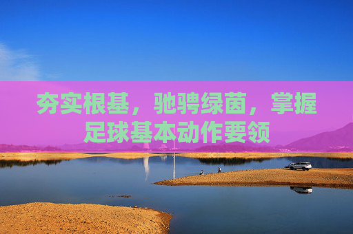 夯实根基，驰骋绿茵，掌握足球基本动作要领