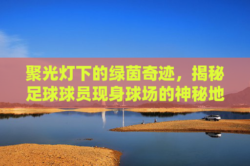 聚光灯下的绿茵奇迹,揭秘足球球员现身球场的神秘地点